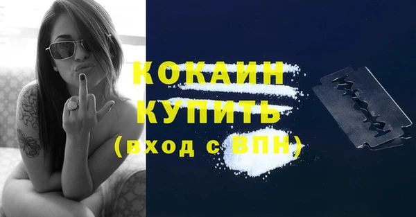 крисы Армянск