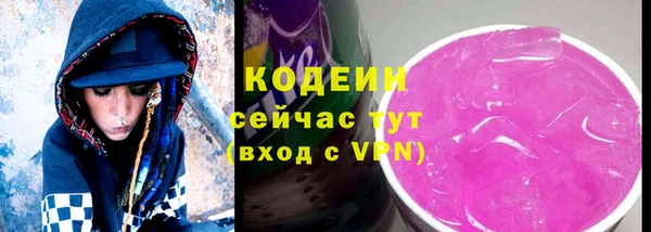 крисы Армянск